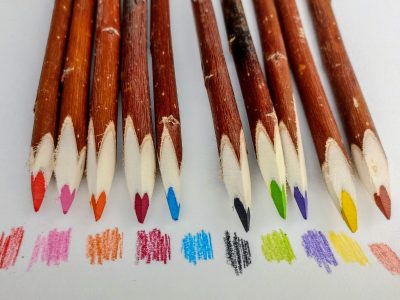 crayons de couleur artisanaux en branche d'arbre