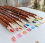 crayons de couleur par 10 en branche d'arbre